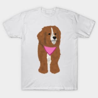 Brown dog T-Shirt